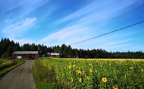 Maatilamatkailu Ilomäki